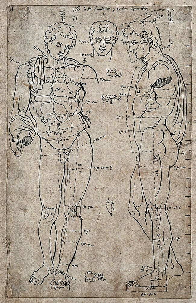 The Belvedere Antinous: frontal and lateral view and drawing of the head. Pen and ink drawing after G. Audran.