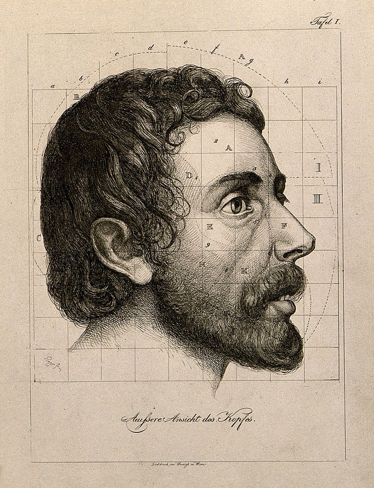 Head of a bearded man seen in profile, with proportions marked. Etching  by A. von Perger, ca. 1850.