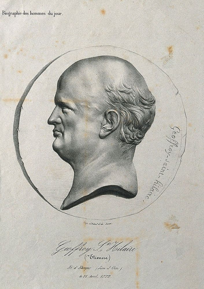 Etienne Geoffroy Saint-Hilaire. Lithograph by Werner after P. J. David d'Angers.