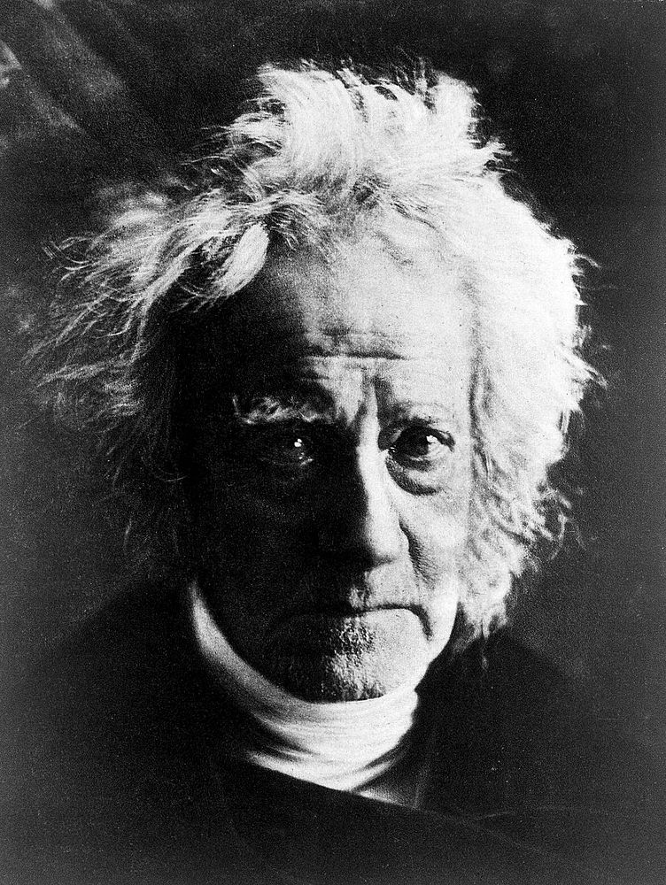 Sir John Herschel. Photogravure after Julia Margaret Cameron.
