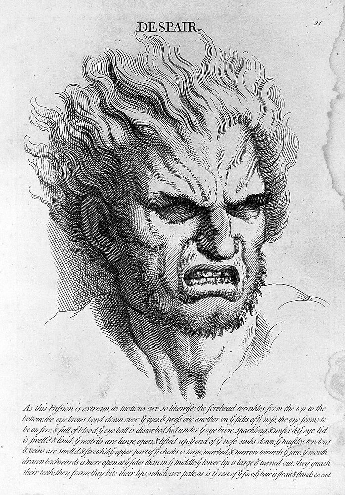 "Despair" from le Brun, Heads. Representing the various passions of the soul..., circa 1760