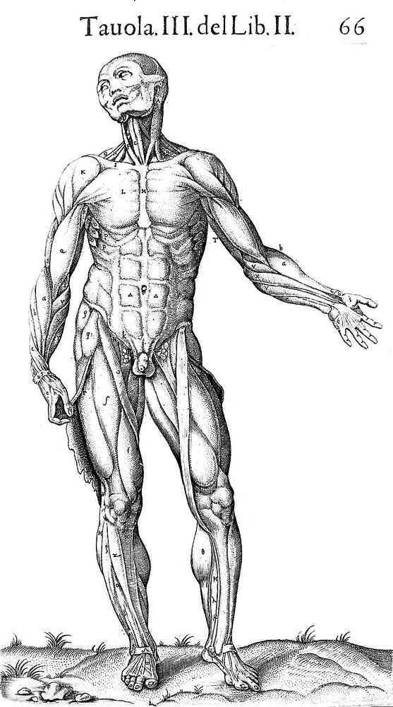 Valverde de Hamusco "Anatomia del corpo..."