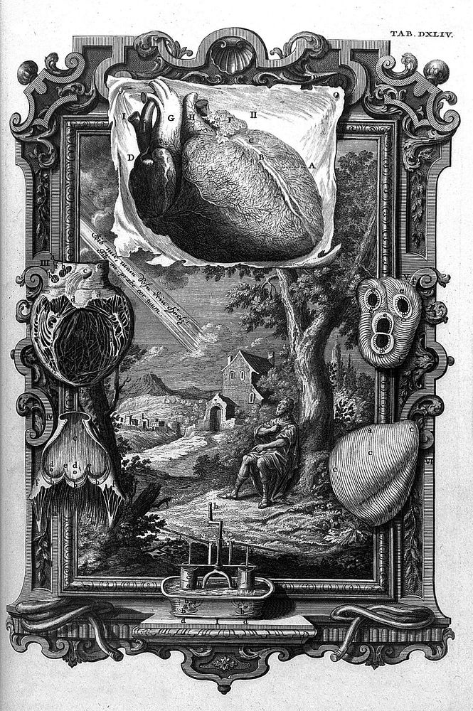 The heart as a pumping machine, J.J. Scheuchzer