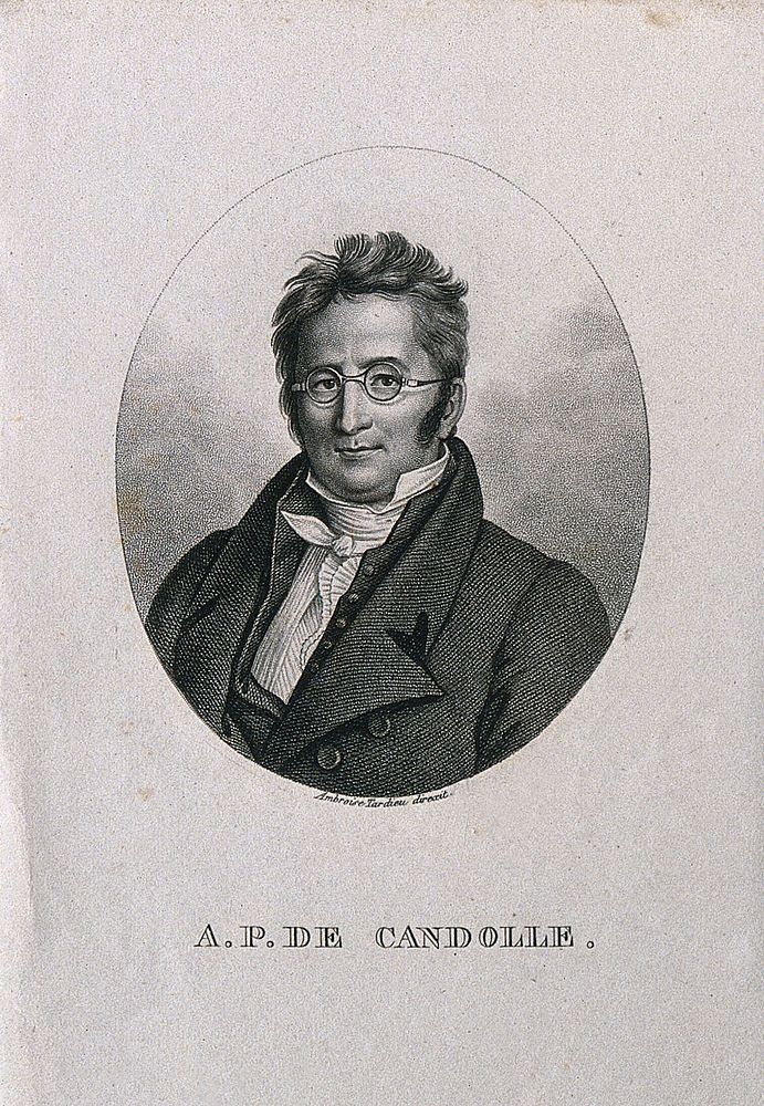 Augustin Pyramus de Candolle. Stipple engraving by A. Tardieu.