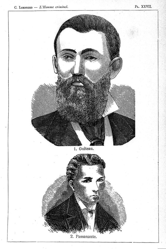 Physiognomy, C. Lombroso, 1888