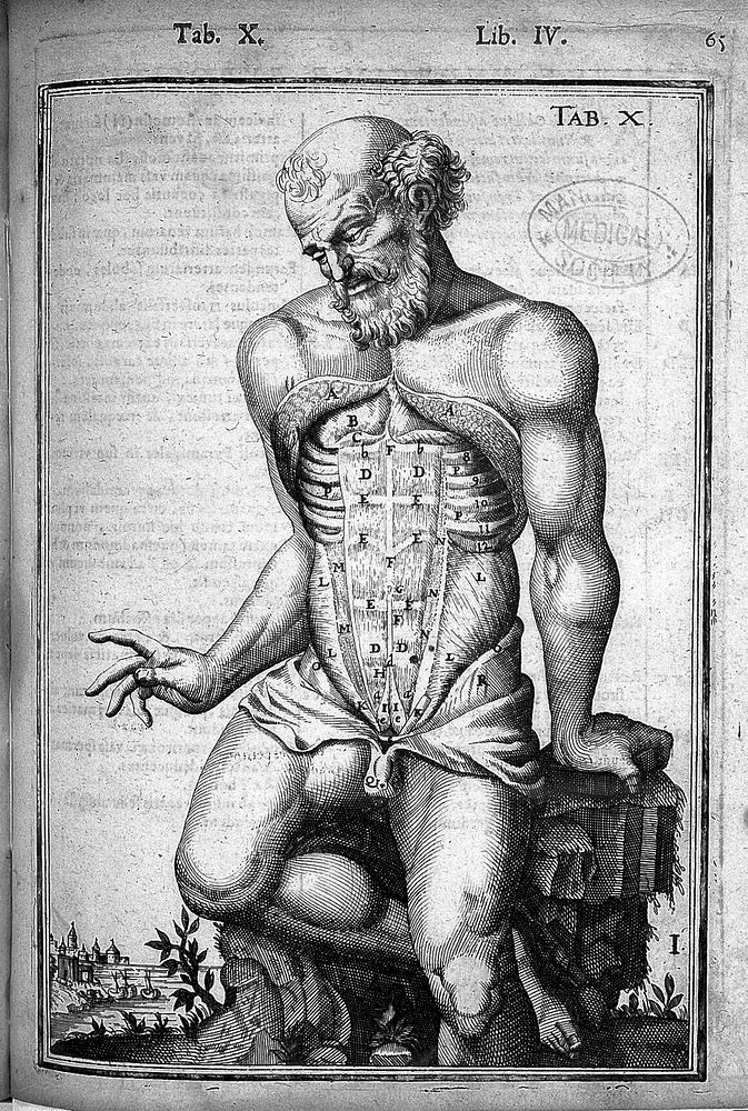 De humani corporis fabrica libri decem. Tabulis XCIIX. aeri incisis ... exornati ... Opus posthumum / [Edited by] Daniel…