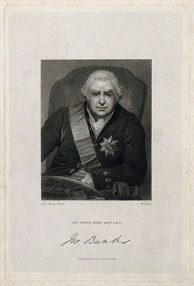 Sir Joseph Banks. Stipple engraving by W. Holl, 1832, after T. Phillips.