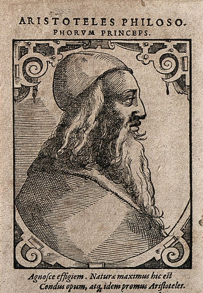 Aristotle. Woodcut by T. Stimmer [], 1589.