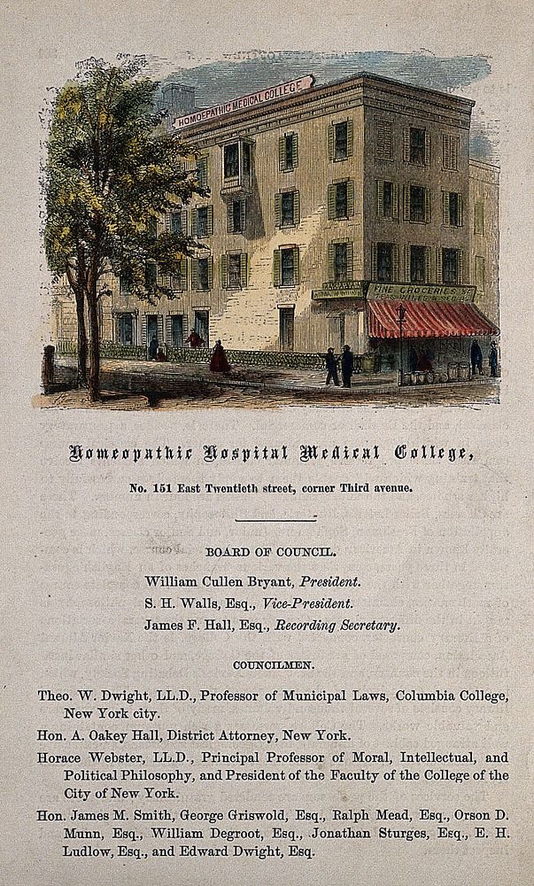 Homeopathic Hospital Medical College, New York City. Coloured wood engraving.