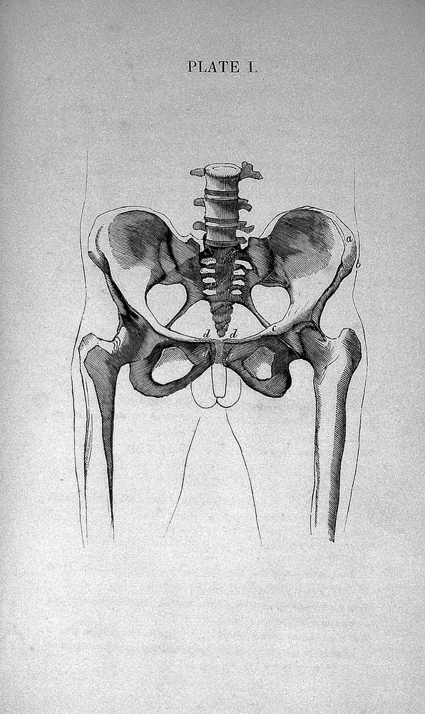 A treatise on hernia, explaining its varieties, situation, symptoms, and causes : to which is added a full description of…