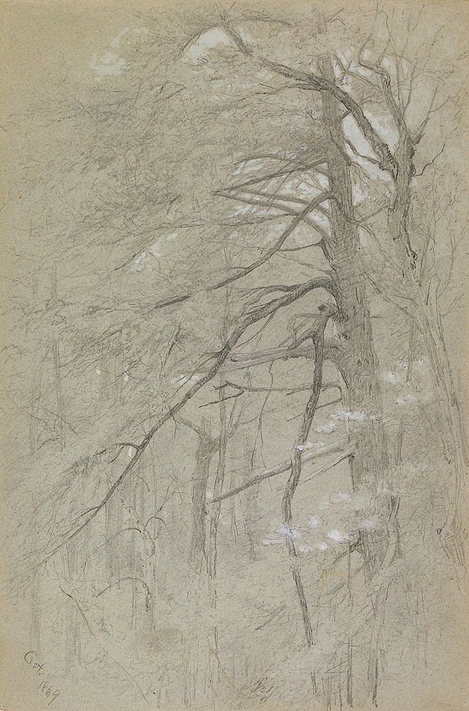 Tree Study. Original from the Minneapolis Institute of Art.