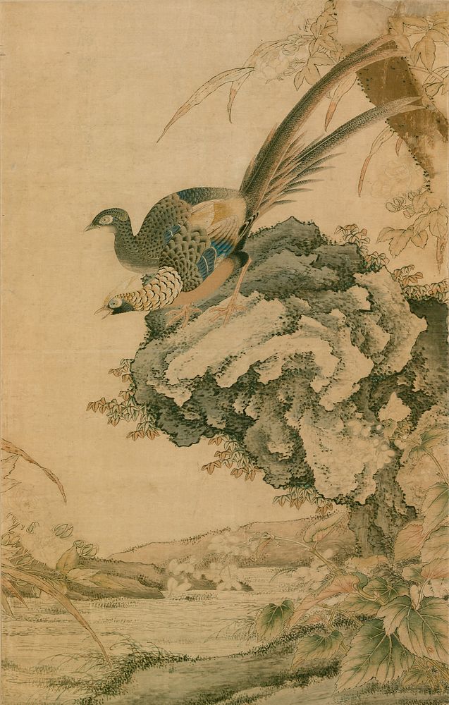 Two Pheasants on a Rock
