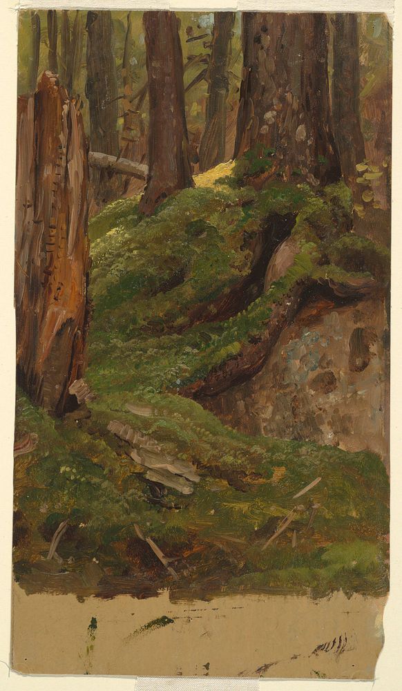 Maine ? woods by Frederic Edwin Church, American, 1826–1900