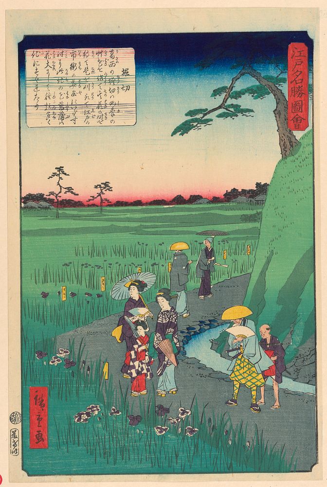 Iris Viewing by Utagawa Hiroshige