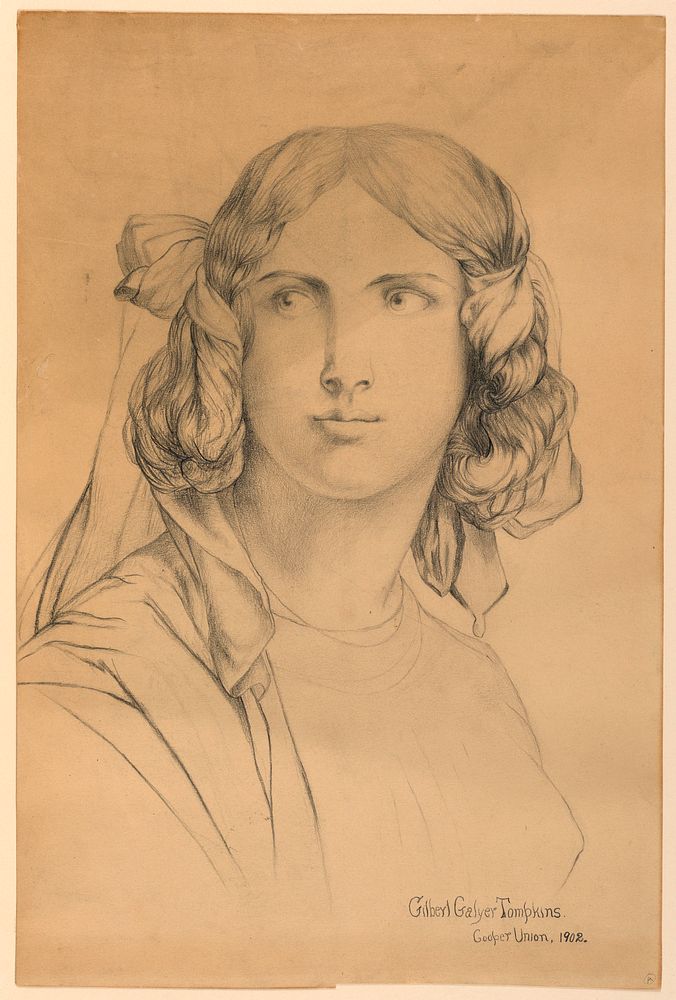 Portrait of a Young Woman