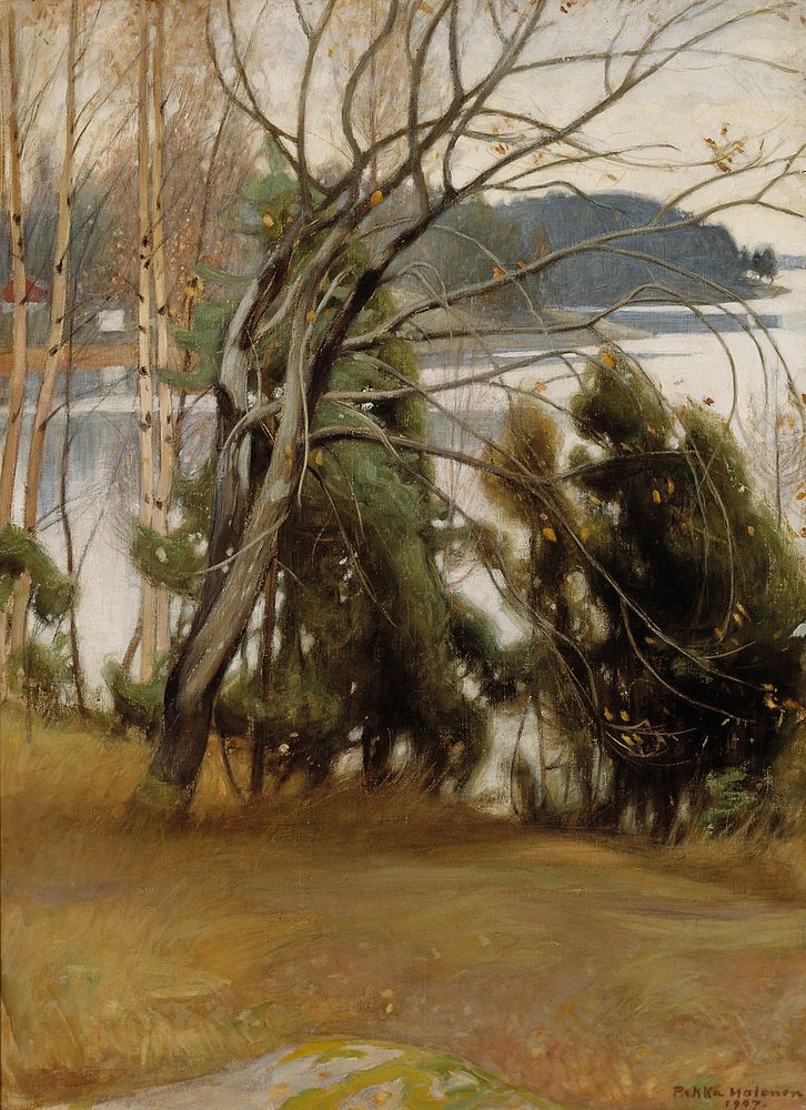 Sallow in autumn, 1907, by Pekka Halonen