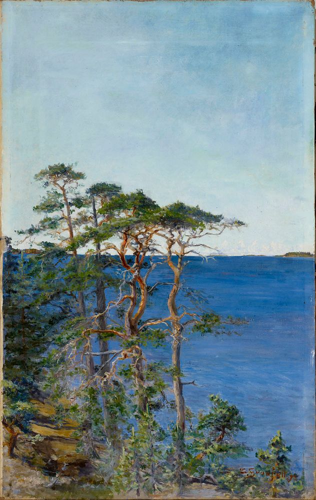 Pines by the sea, 1895, Sigrid Granfelt