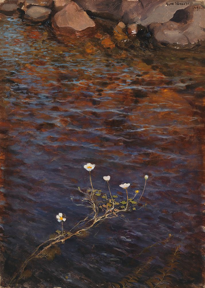 Pond water crowfoot ; pond weed, 1895, Eero Järnefelt