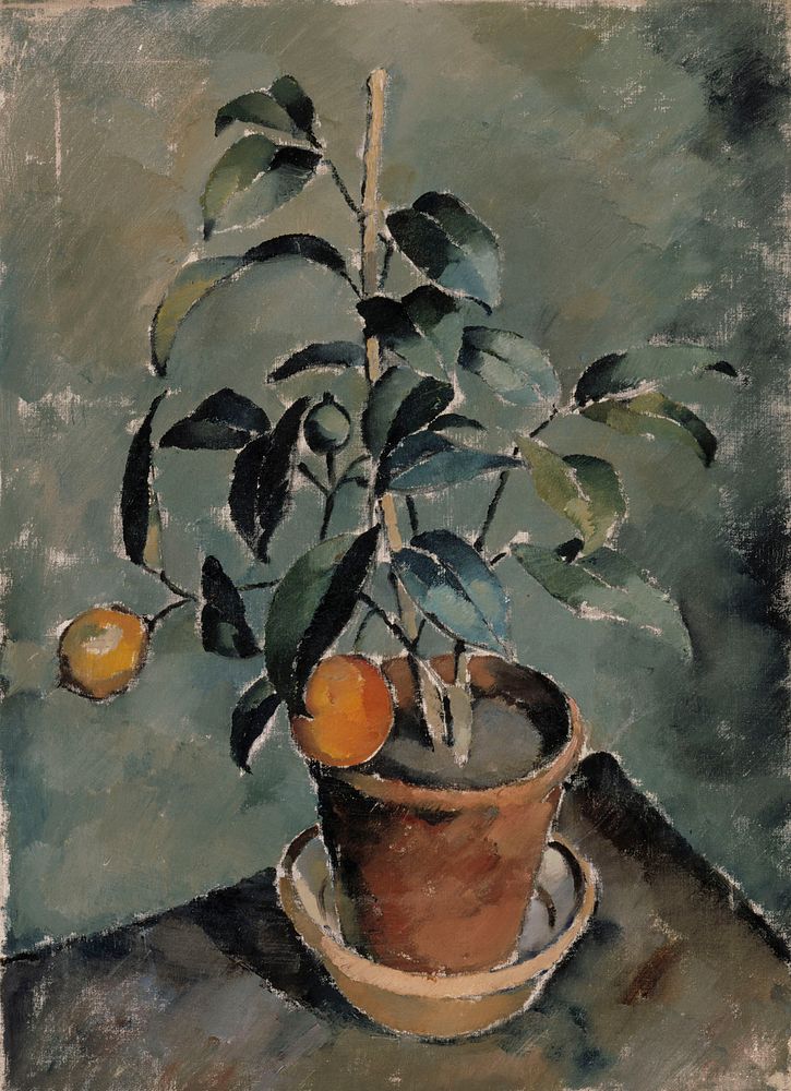 Orange plant, Karl Isakson