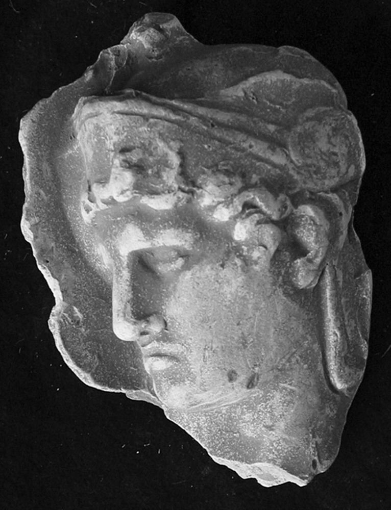 Trajan's column.Male head, left profile