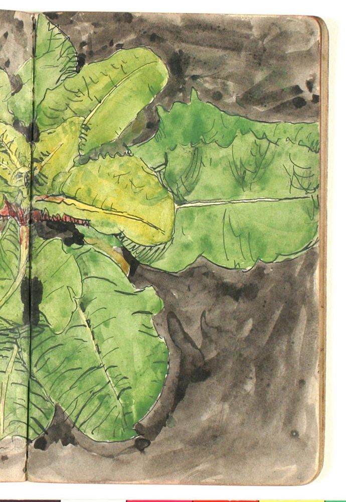 Plant study by Niels Larsen Stevns