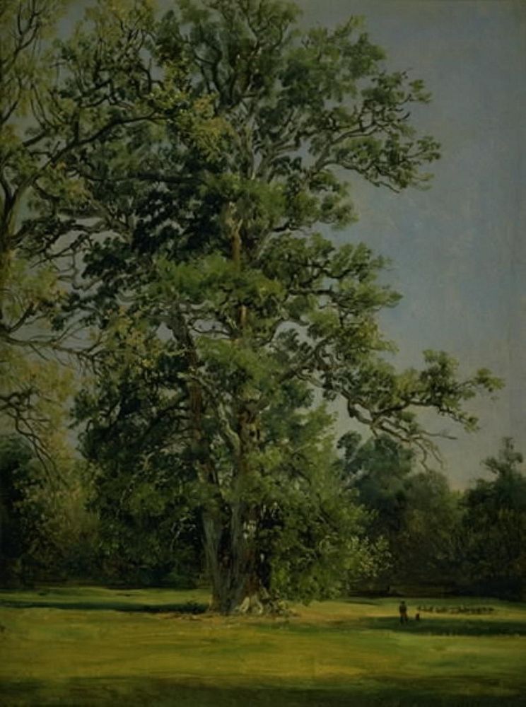 An oak tree.Part of the garden at Wörlitz near Dessau by Johan Christian Claussen Dahl