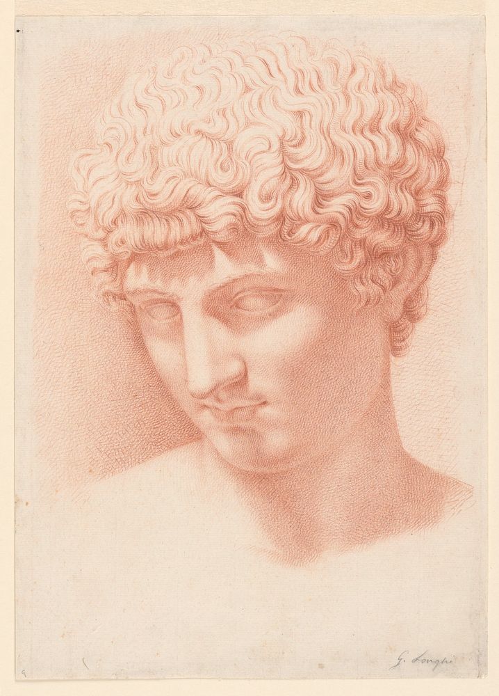 Head of Apollo by Giuseppe Longhi
