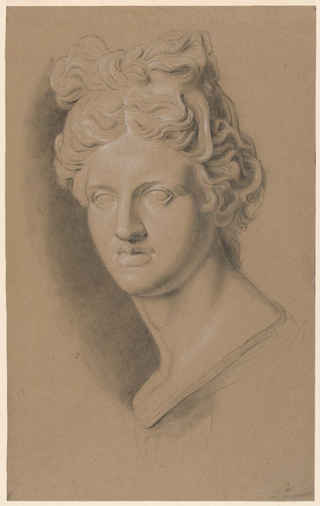 Academic Study of a Cast of a Classical Female Bust by Giuseppe Longhi