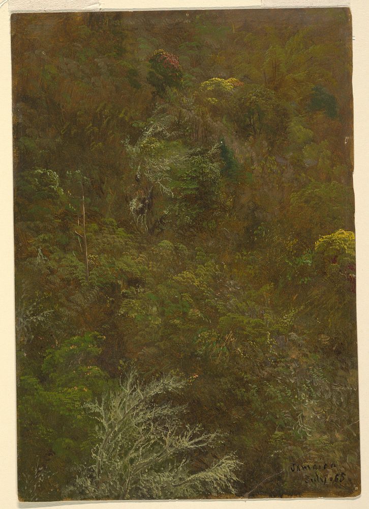 Hillside with Trees, Jamaica, Frederic Edwin Church