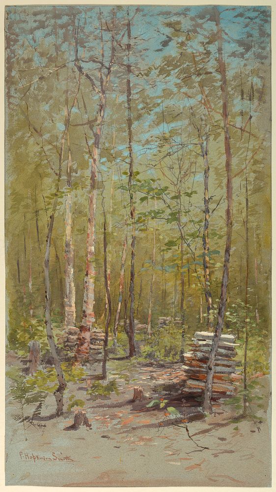 Birch Trees, Francis Hopkinson Smith