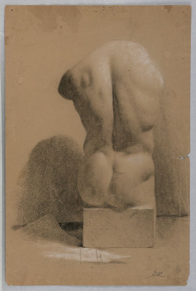 Male Torso From a Plaster Cast, Daniel Huntington