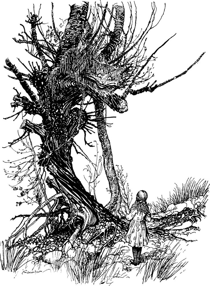 The Cheshire Cat. a character from Alice's adventures in Wonderland (1916) by Arthur Rackham