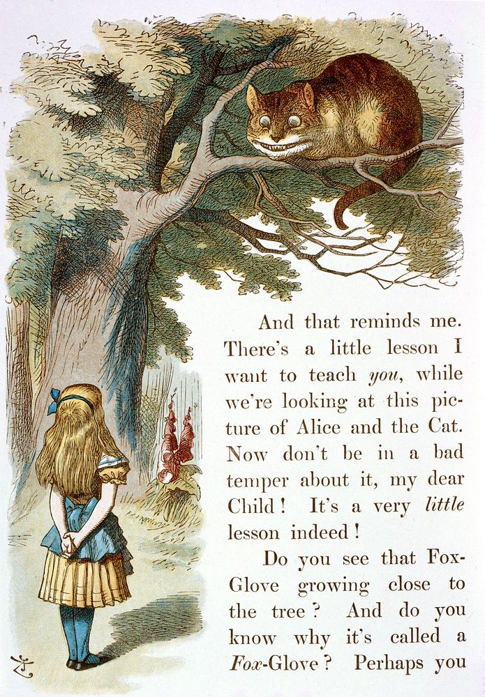 Illustration from The Nursery "Alice", "Alice's Adventures in Wonderland" (1890) illustrated by John Tenniel.