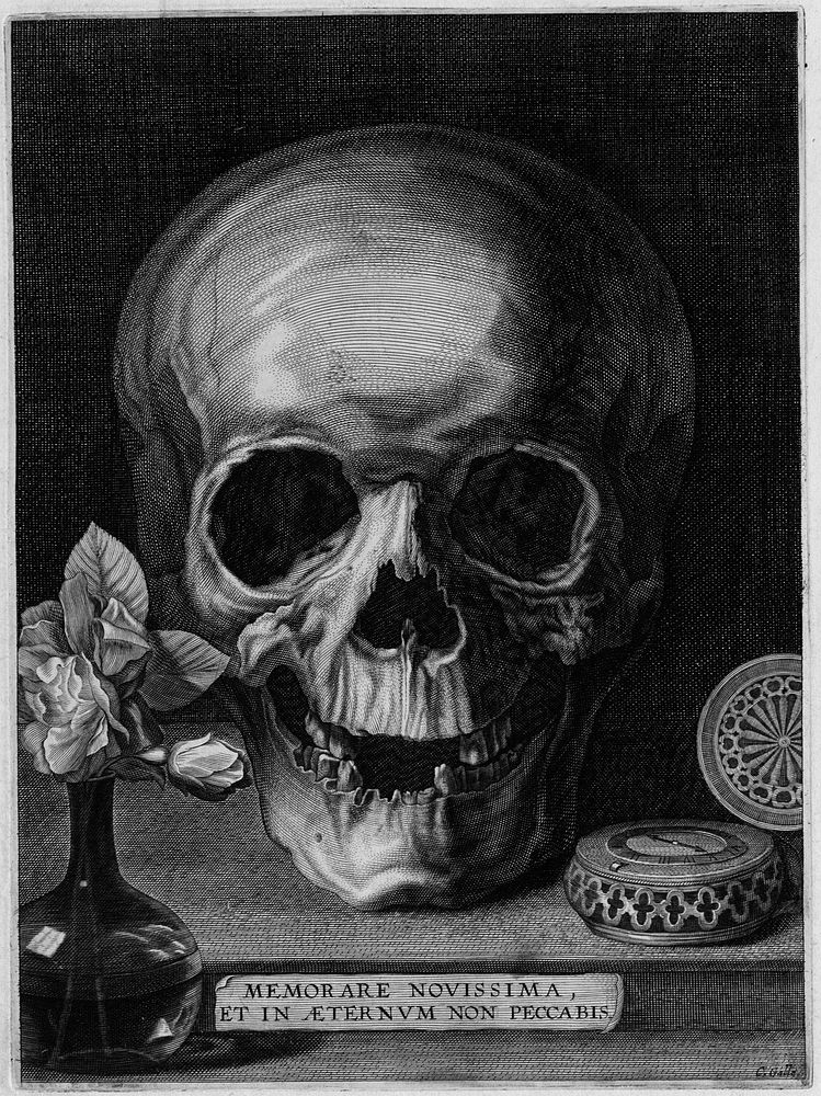 Galle the Elder Still life with skull