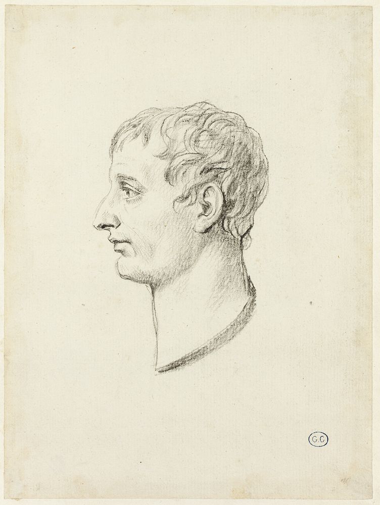 Profile of Napoleon by Jacques Louis David