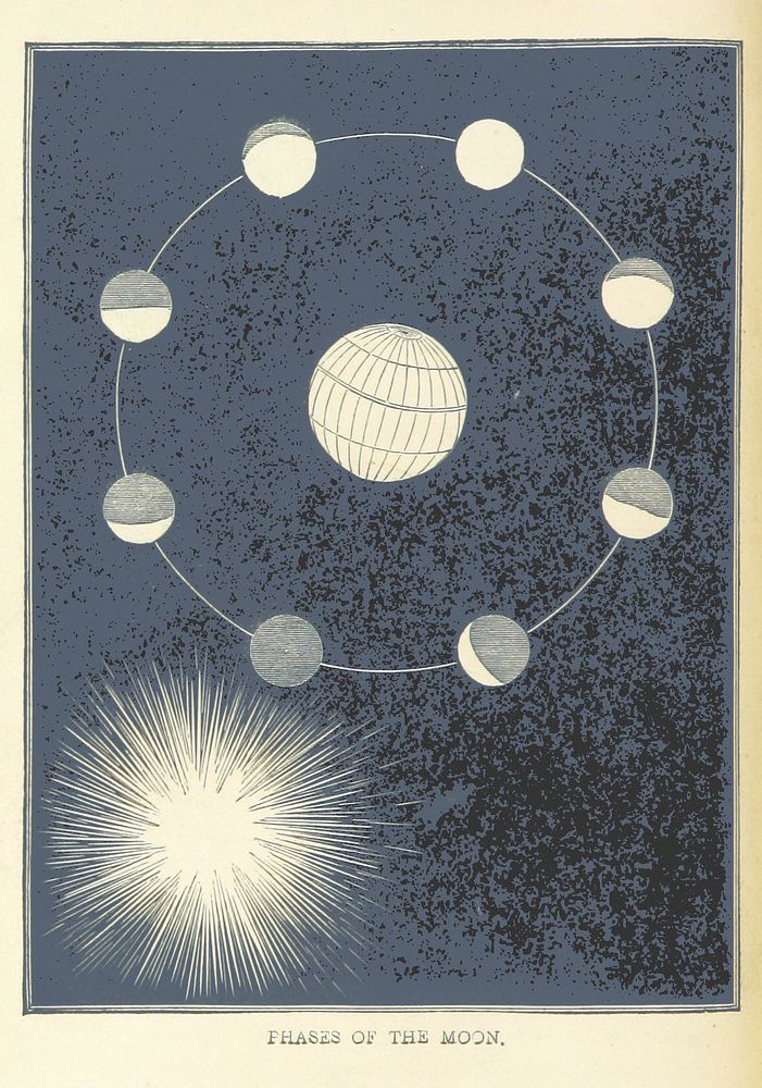 Image taken from:Title: "Six Thousand Years Ago: or, the Works of Creation illustrated. [With illustrations.]" Author: BEST…