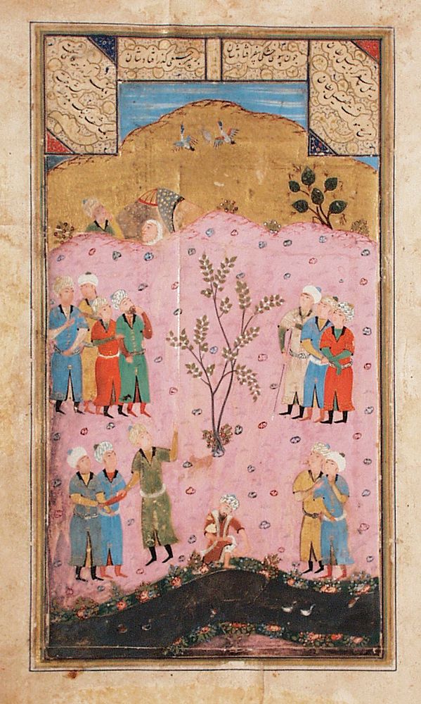 Flight of the Tortoise, Page from a Manuscript of the Haft Awrang (Seven Thrones) ("Tuhfat al-Ahrar" or "Gift of the Free")