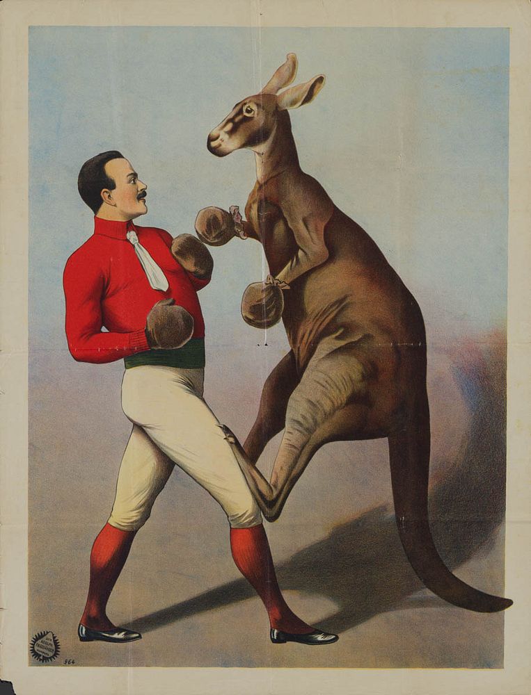 1890s Kangaroo Boxing sideshow poster (#964) printed in Hamburg, Germany by Adolph Friedländer (1851-1904).