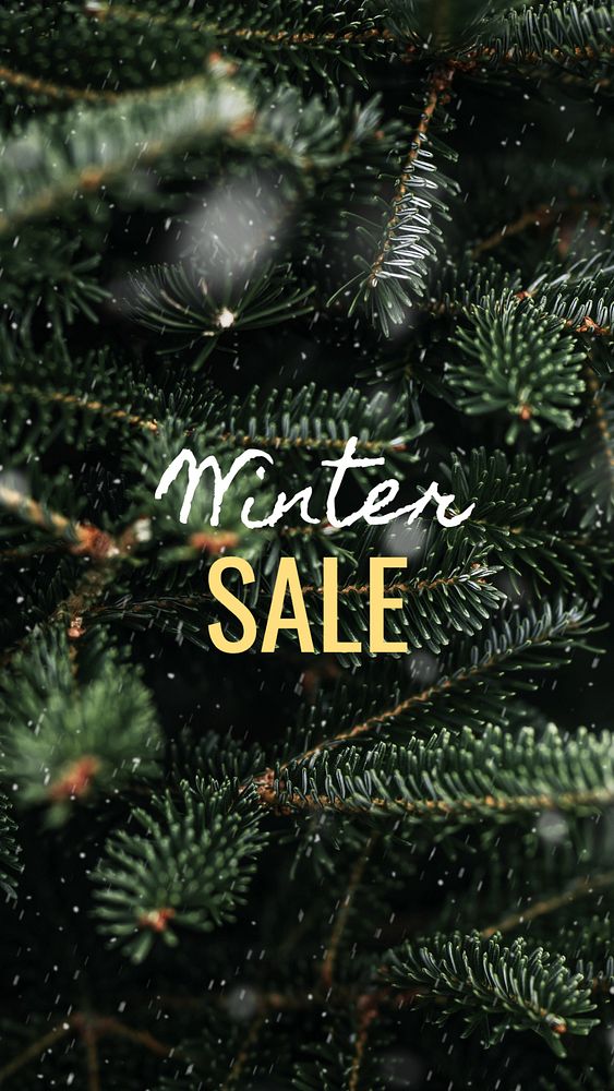 Winter sale Instagram story template, editable text