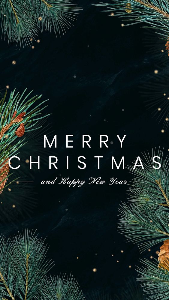 Merry Christmas Instagram story template, editable text