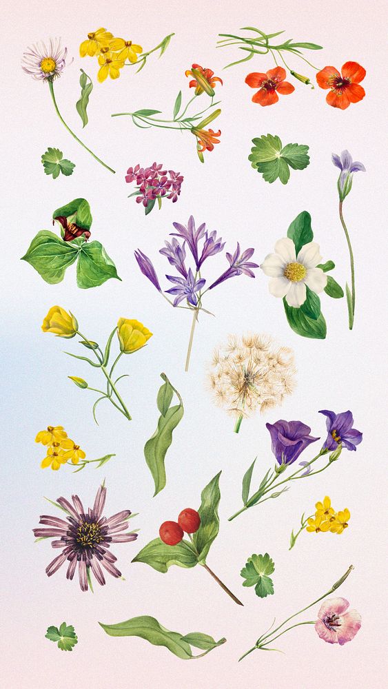 Watercolor flower illustration remix set