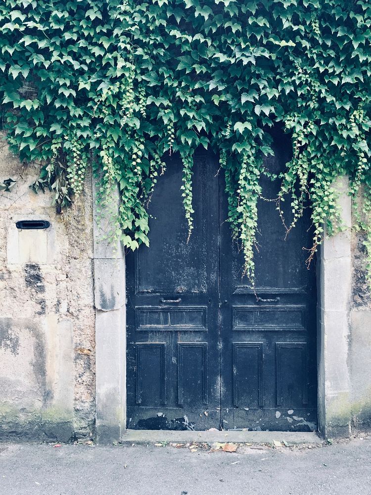 Green vines hide aging black doors on an old street, free public domain CC0 image.