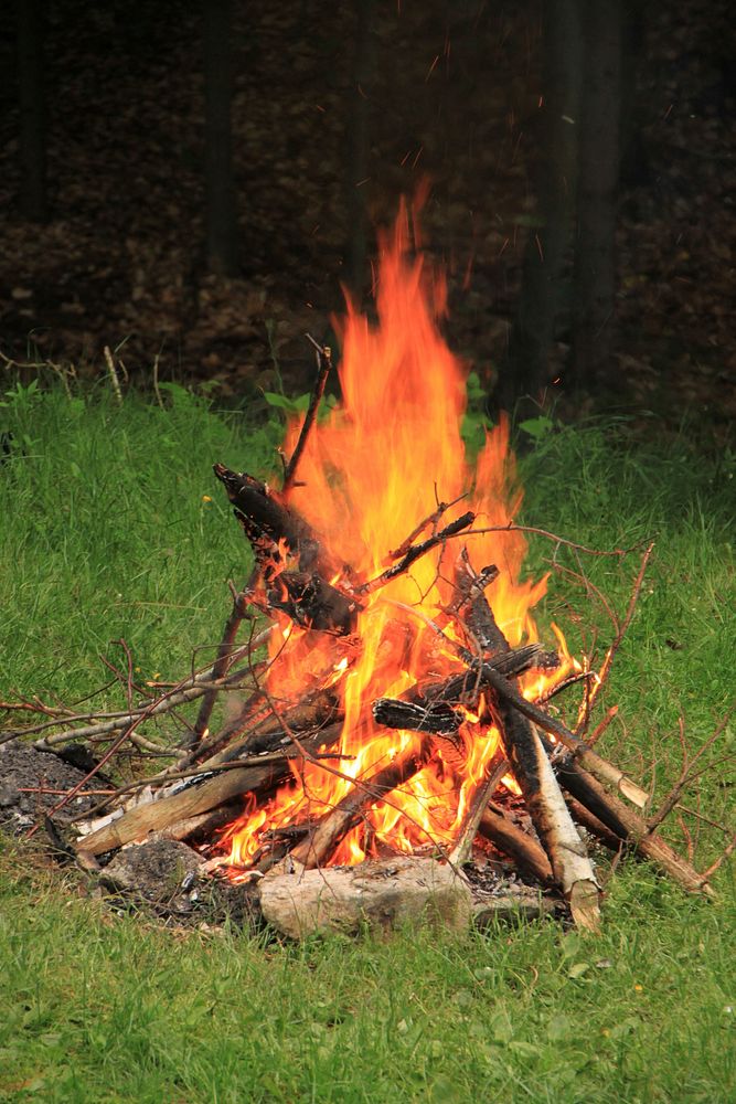 Bonfire in nature. Free public domain CC0 photo.