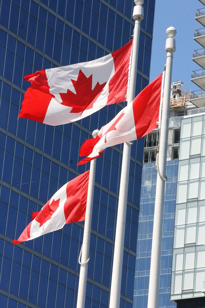 Canada flags in front of building. Free public domain CC0 photo.