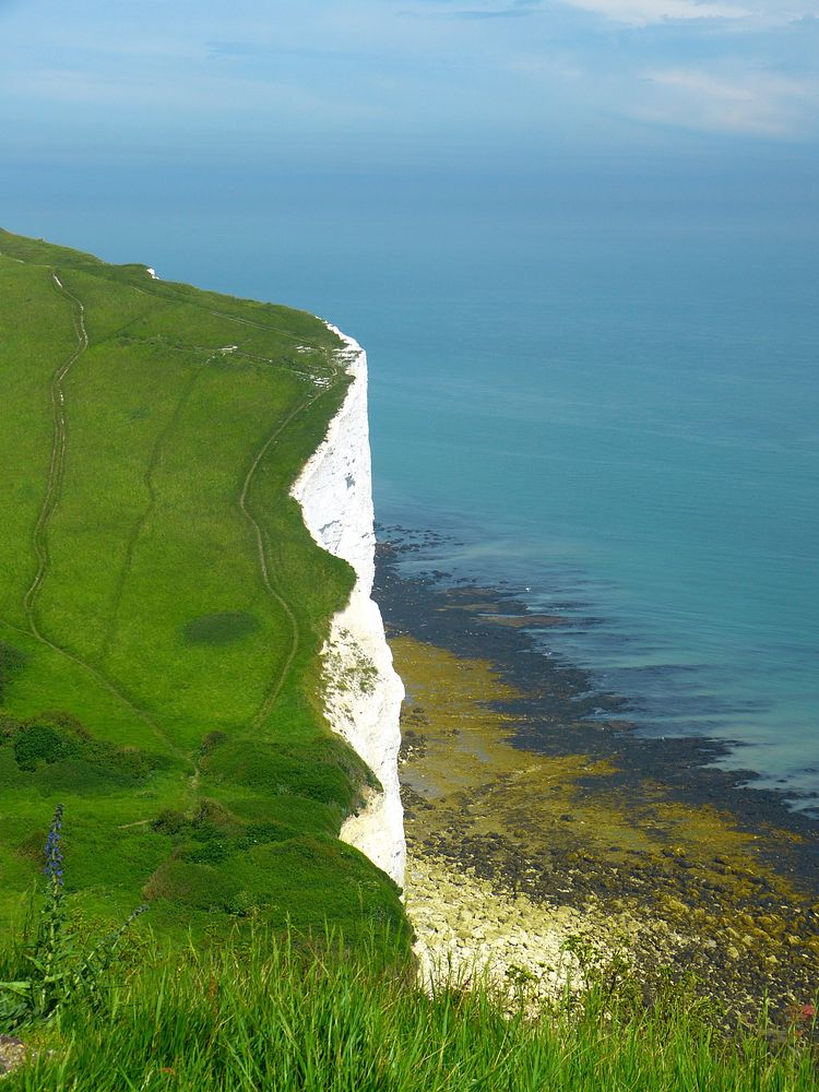 Chalk cliffs England. Free public domain CC0 photo.