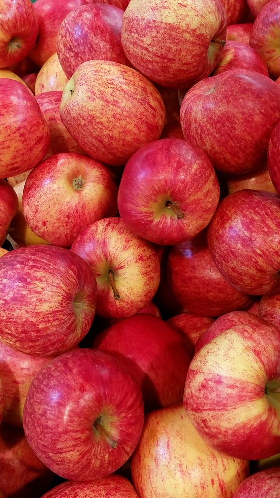 Closeup on pile of red apples. Free public domain CC0 photo.