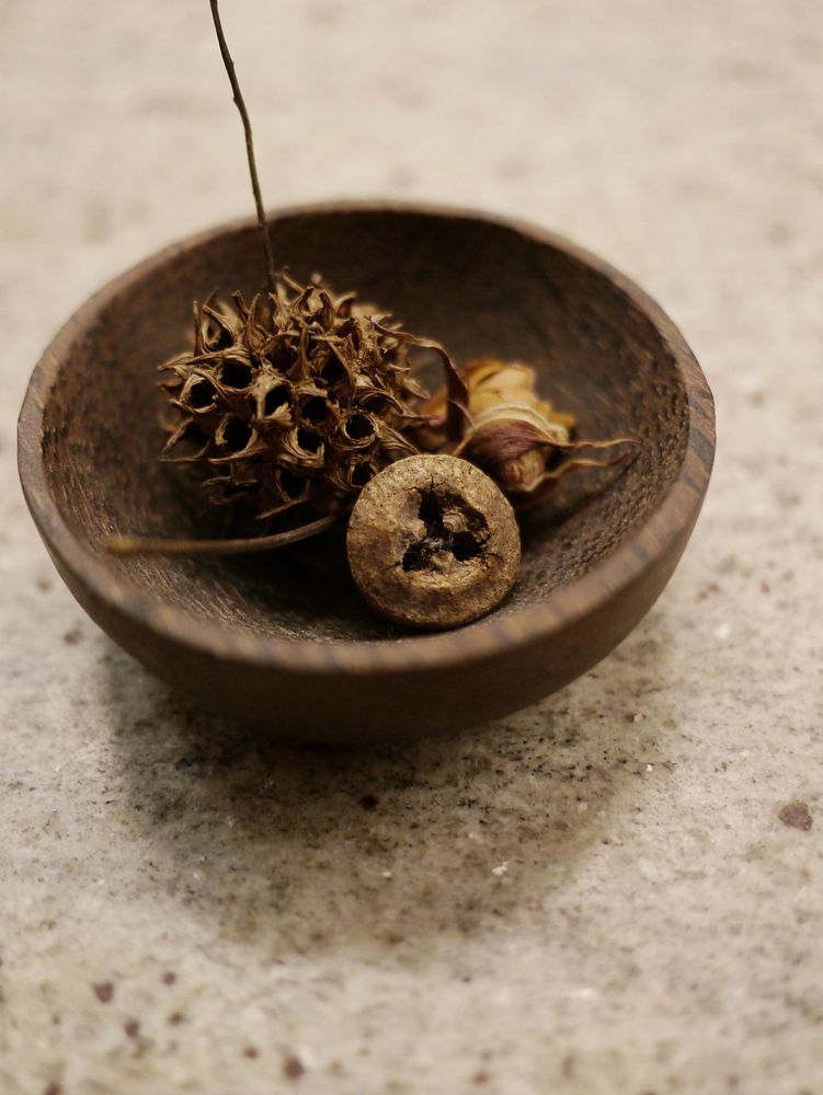 Sweet gum ball in bowl. Free public domain CC0 image.