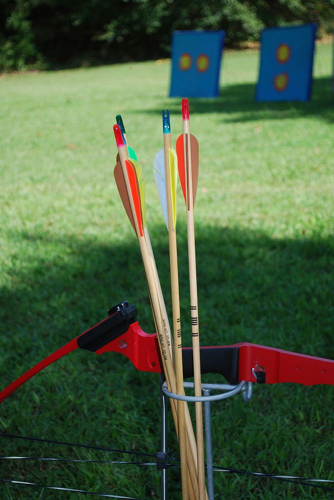 Closeup on archery arrows. Free public domain CC0 image.