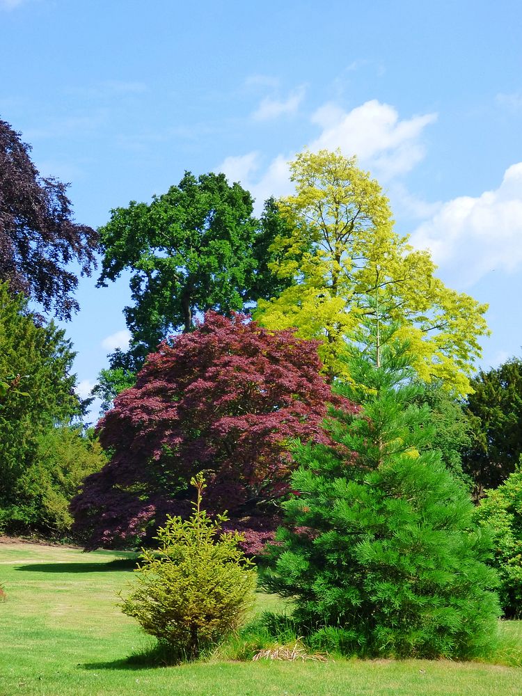 Bedford park, London. Free public domain CC0 photo.