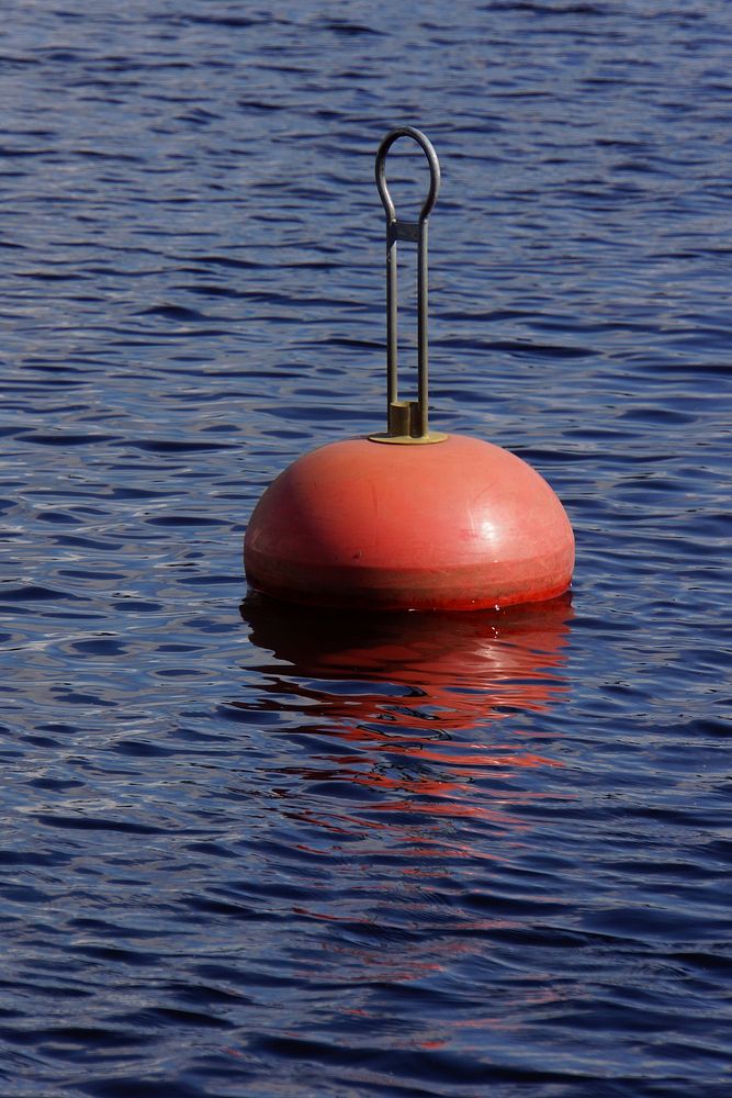 Buoy. Free public domain CC0 photo.